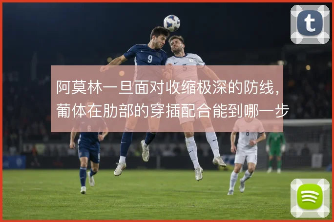 阿莫林一旦面对收缩极深的防线，葡体在肋部的穿插配合能到哪一步