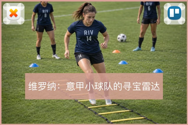 维罗纳：意甲小球队的寻宝雷达