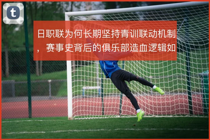 日职联为何长期坚持青训联动机制,赛事史背后的俱乐部造血逻辑如何形成